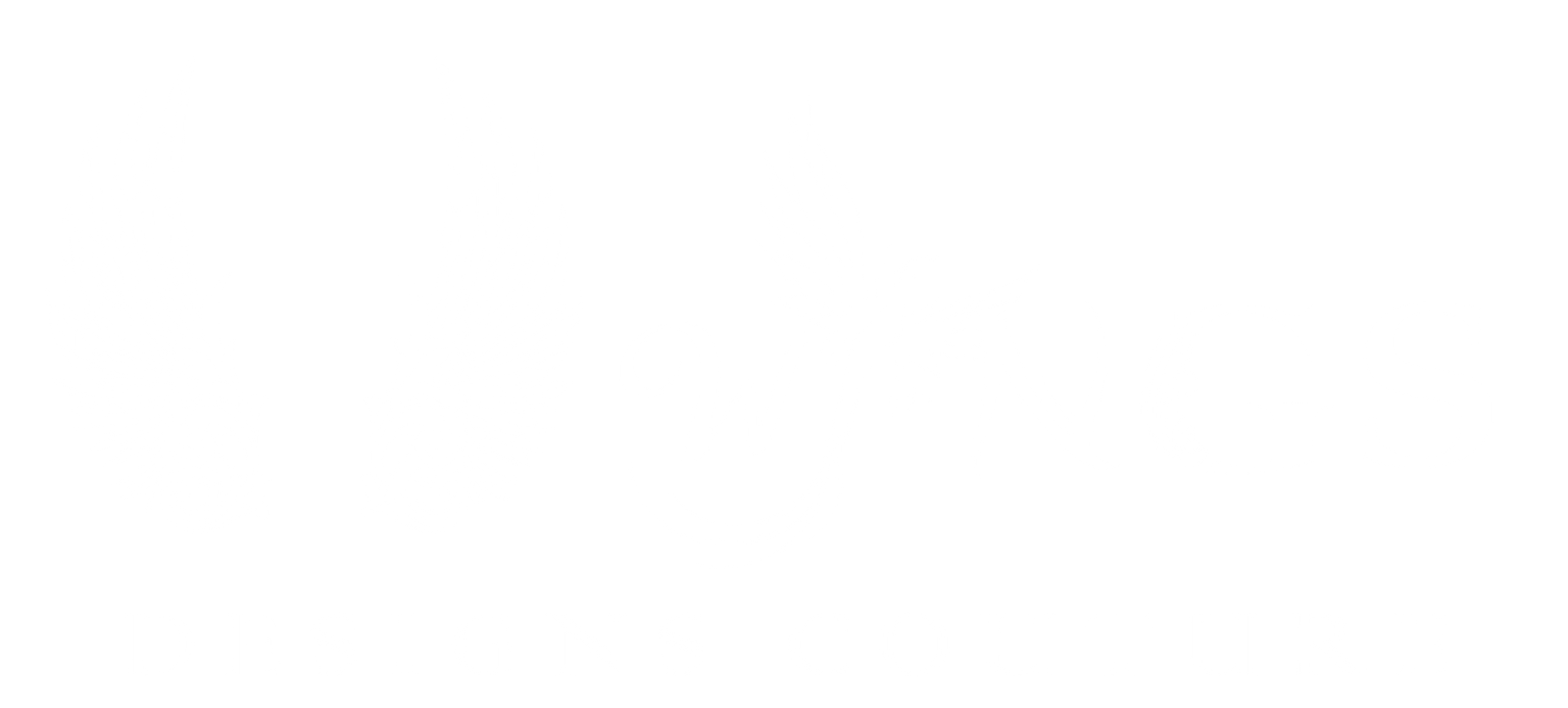 Wings Designs Couture